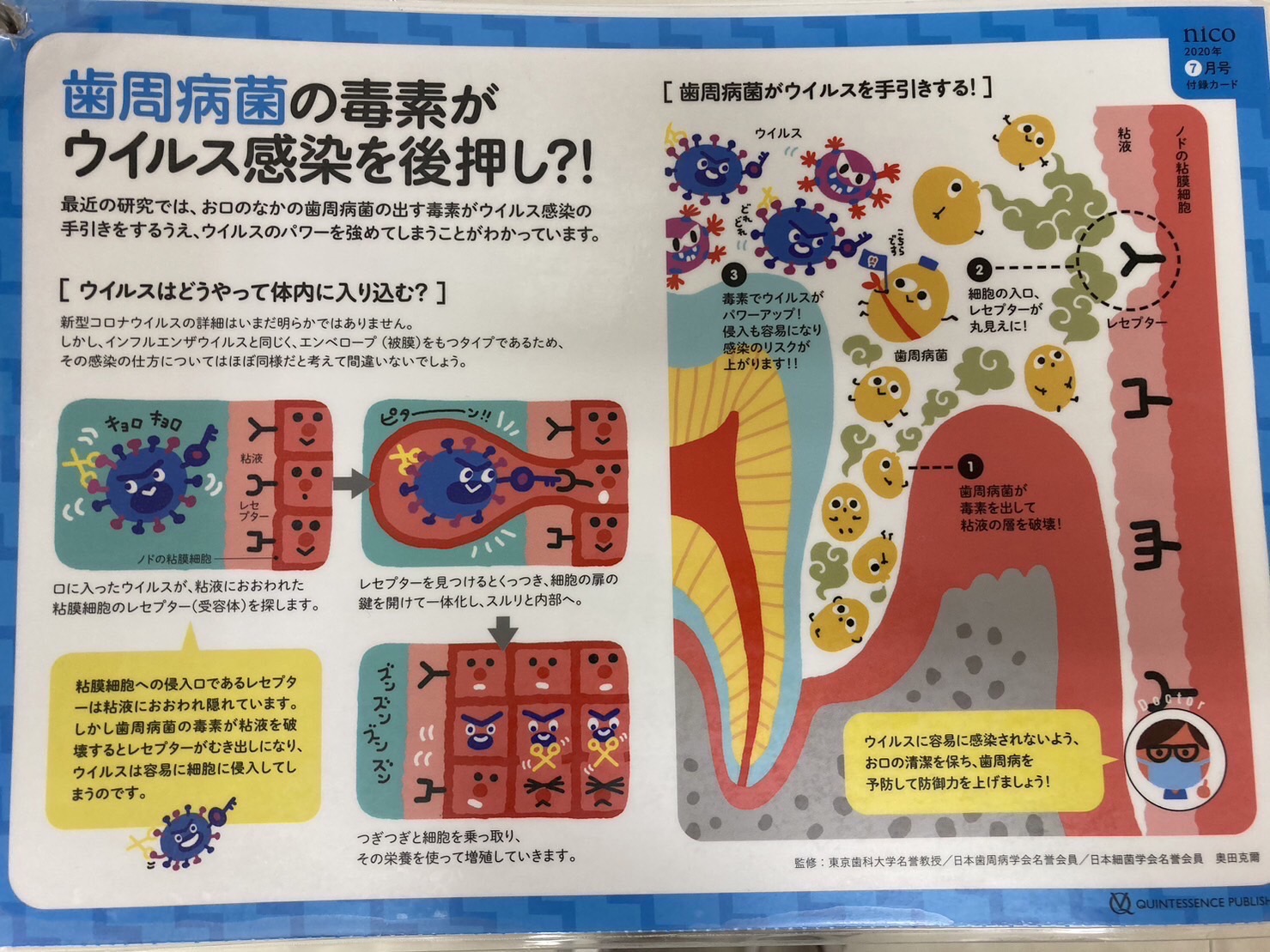 歯周病の菌とウイルス🦠